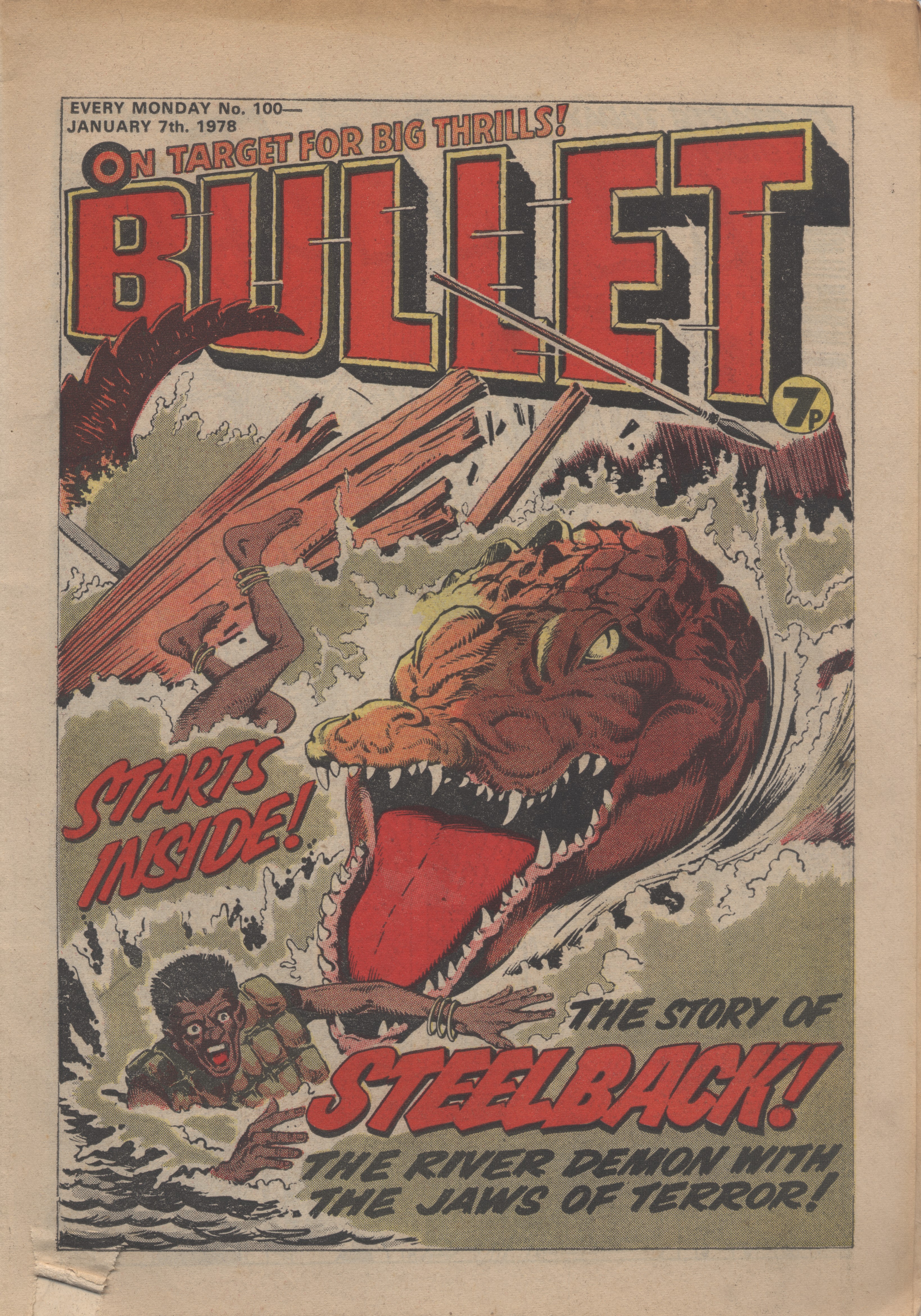 Bullet